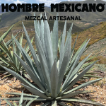 Around the Envato Office - Ben & Jane